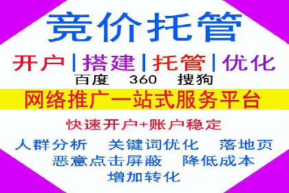 优化SEM广告投放：成功案例分享